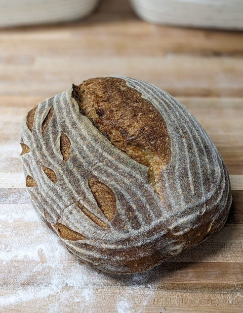 Whole Wheat Sourdough Loaf